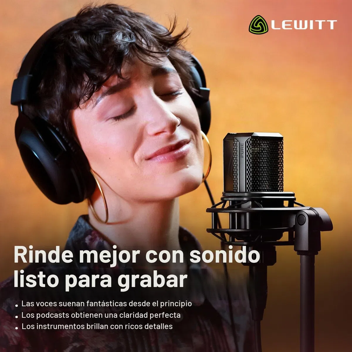 LEWITT Micrófono de condensador LCT 440 PURE XLR para voz, canto, grabación de instrumentos y transmisión