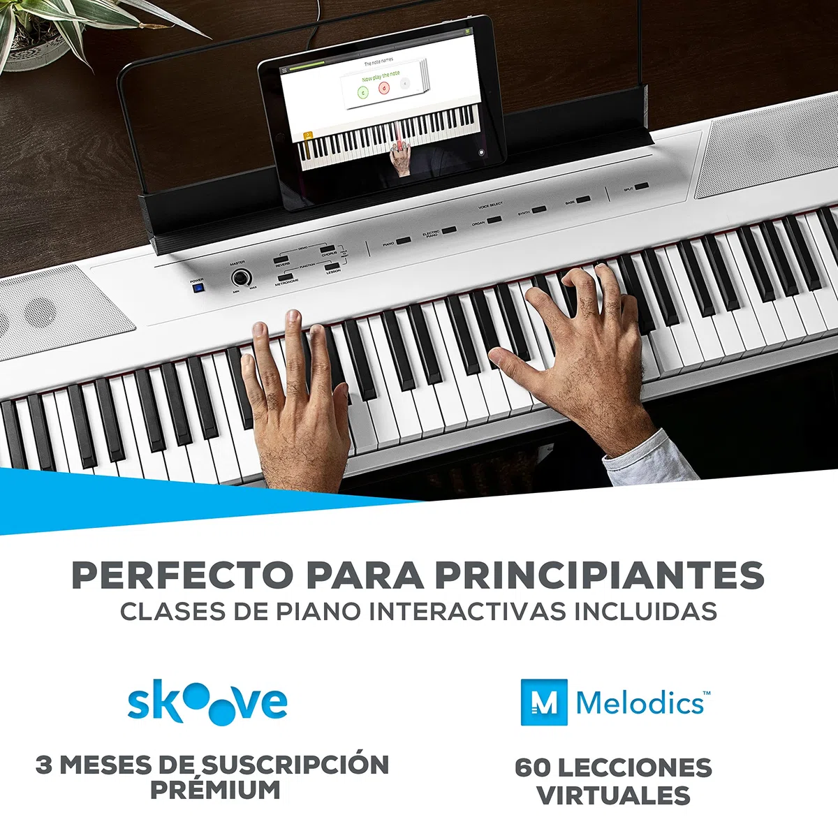 Alesis Recital Piano Eléctrico 88 Teclas Semi Contrapesadas con Altavoces & Soporte para teclado RockJam Xfinity preensamblado, doble arriostrado