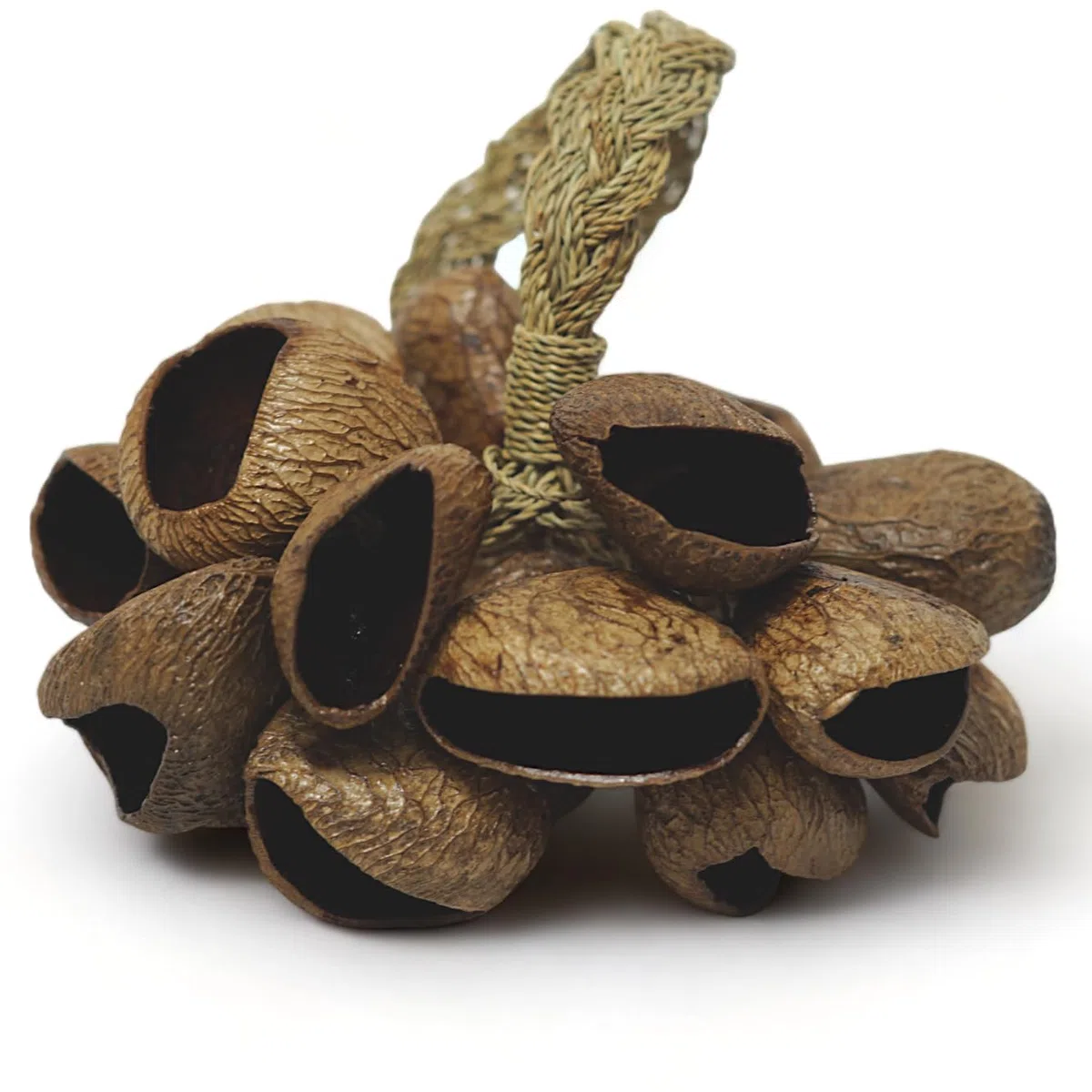 GMP Agitador de conchas de semillas de Pangi, efecto de sonido de percusión, viene con mango de cuerda/mango de bambú, auténtico sonajero tradicional (natural)