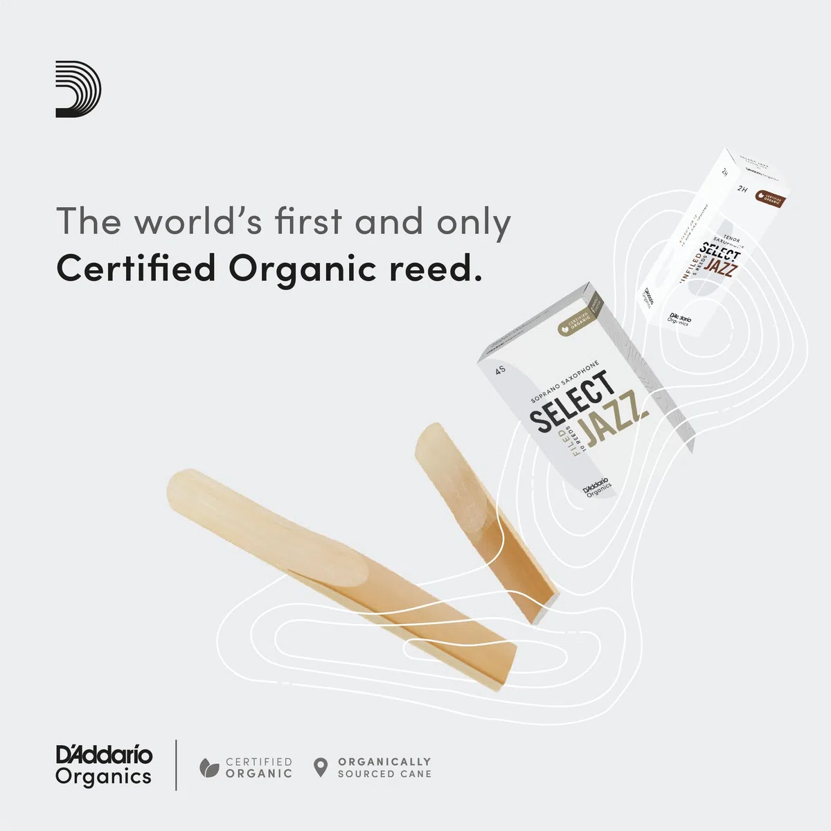Cañas D'Addario Organic Select Jazz para saxofón tenor, sin lengüeta, fuerza 2 blanda, paquete de 25