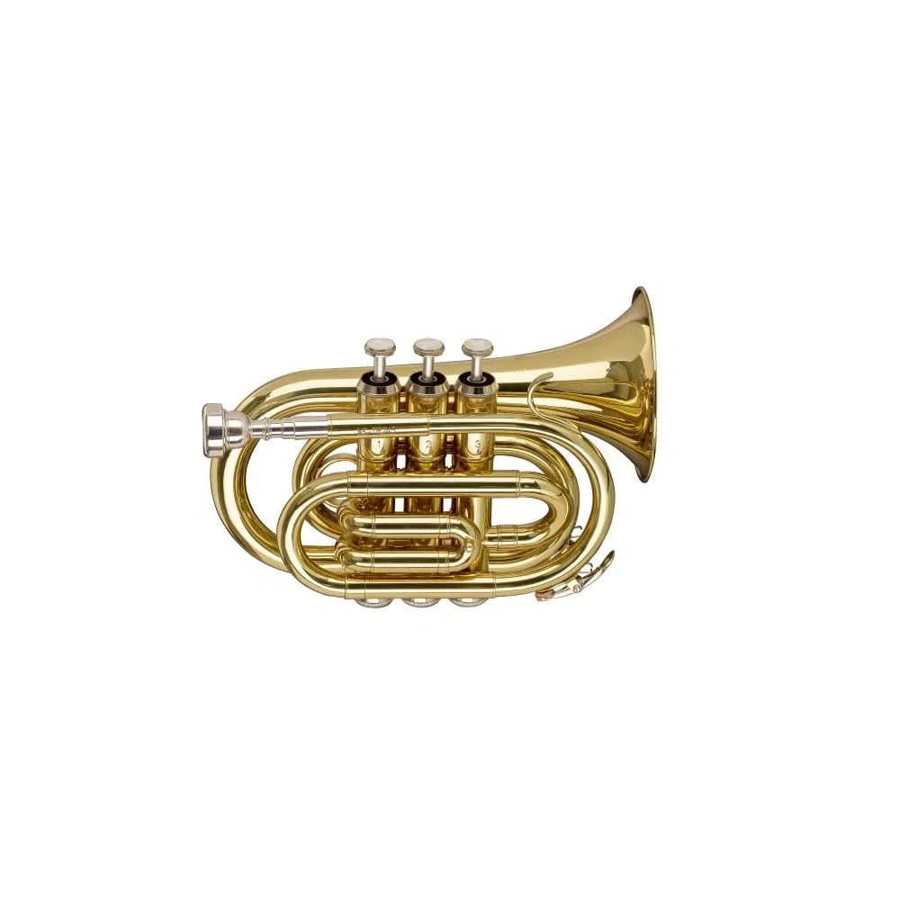 Stagg WS-TR245S de dibujo de instrumentos de bolsillo