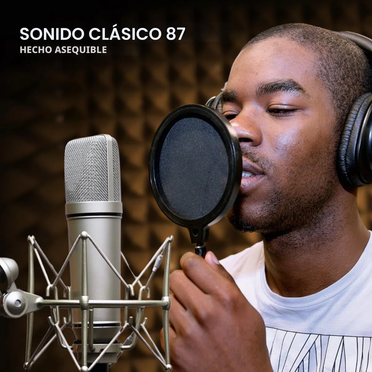 Micrófono Condensador de Estudio MA-87 grabación Vocal de Calidad con un presupuesto reducido
