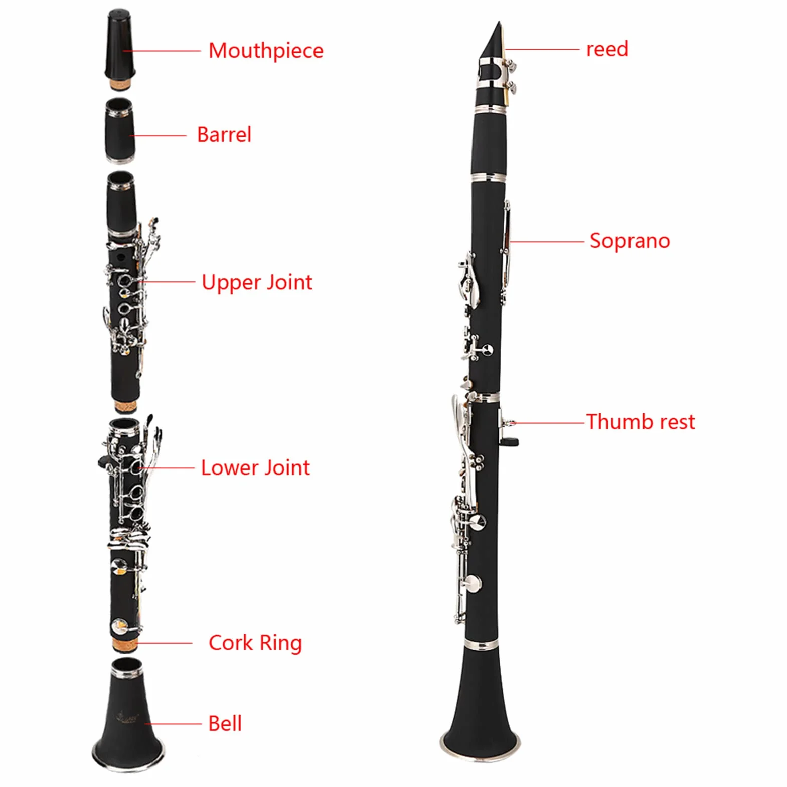 Dilwe Clarinete de Tono B Descendente, 17 Teclas Bakelita a Nivel de Estudiante, con Juncos y Tela de Limpieza