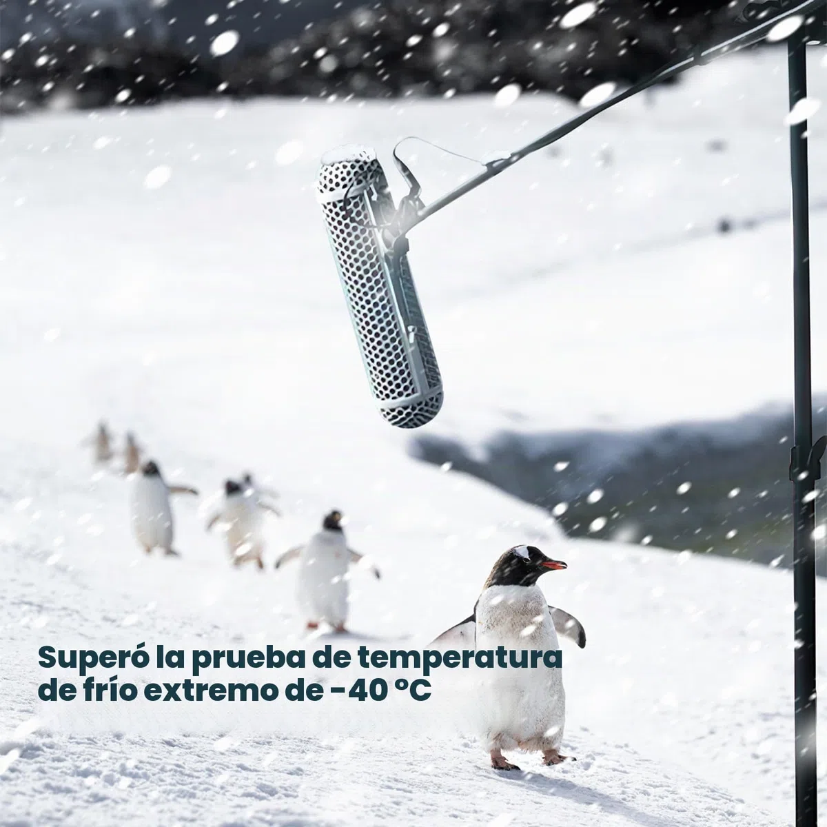 MICOLIVE-SE BLIMP - Sistema BLIMP para micrófono, jaula de protección contra el viento + parabrisas + sistema de suspensión de montaje de choque mejorado para micrófonos RODE Shotgun, etc